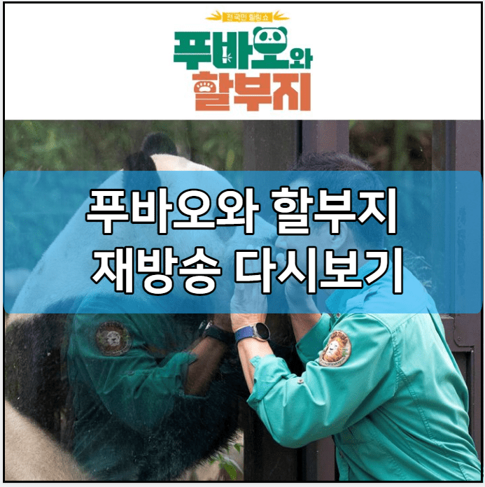 푸바오와 할부지 모바일 재방송 다시보기