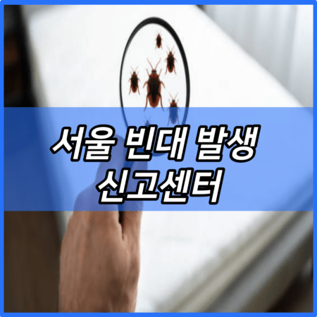 서울 빈대 발생 신고센터