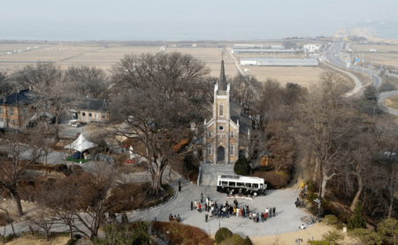 한국기행 피자