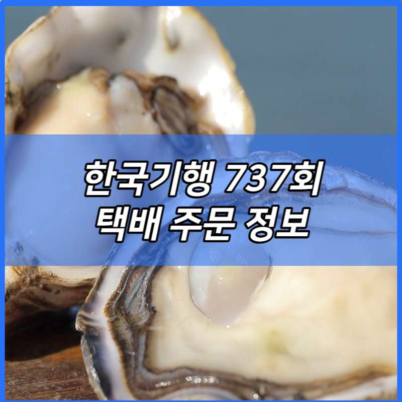 한국기행 각재기국