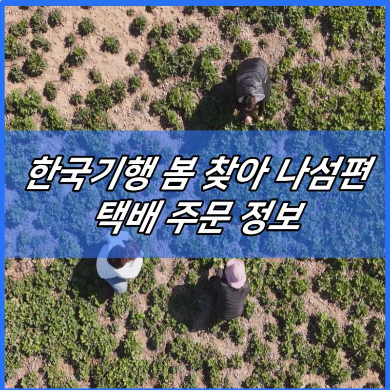 한국기행 연도 방풍 나물