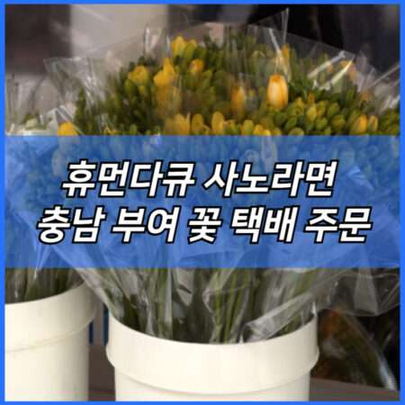 휴먼다큐 사노라면 충남 부여 꽃