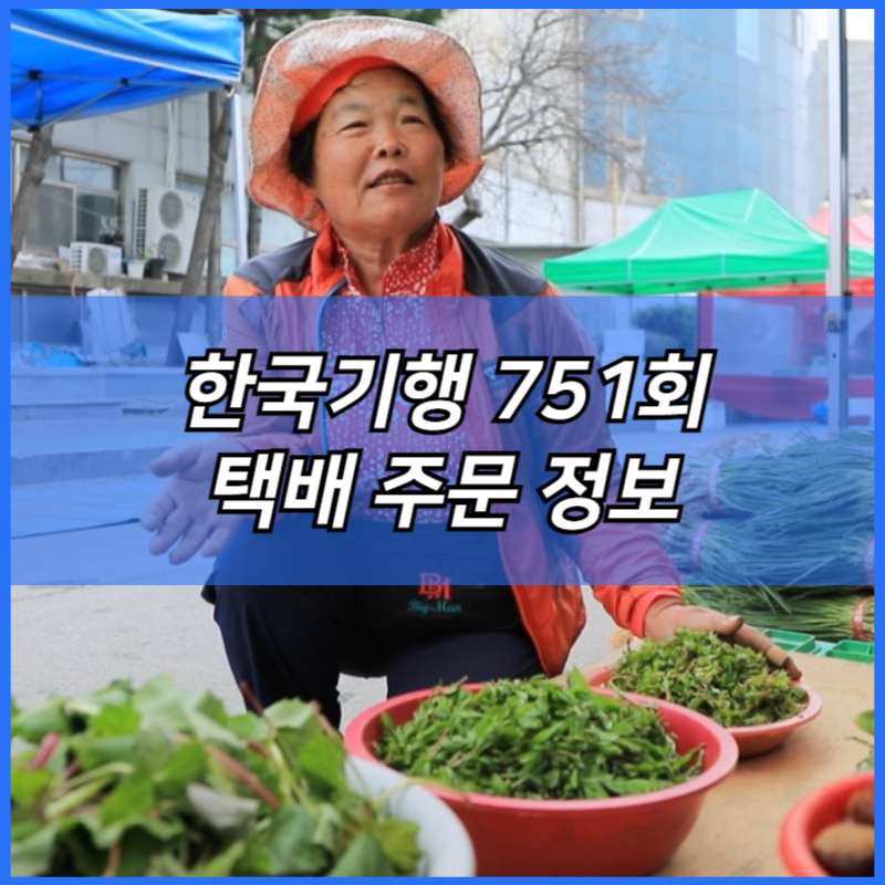 한국기행 홍성 오일장 머위