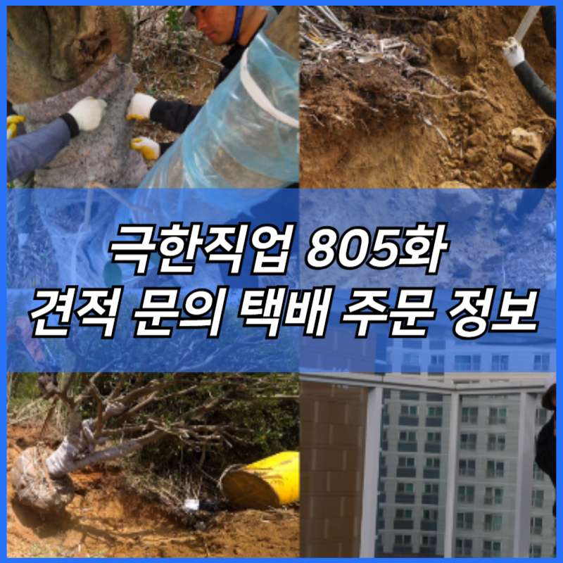 극한직업 대형목 이식