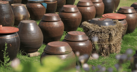 한국기행 산나물 백반