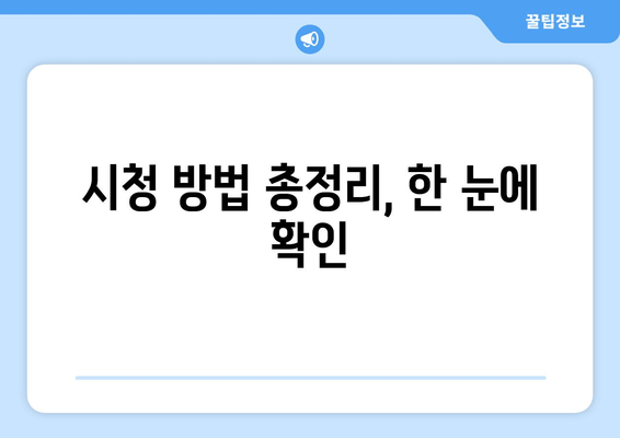 시청 방법 총정리, 한 눈에 확인