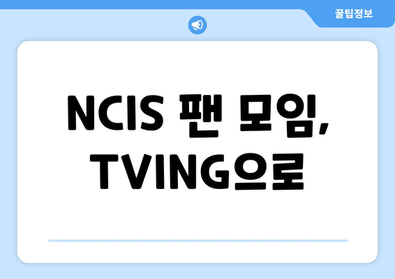 NCIS 팬 모임, TVING으로