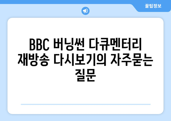 BBC 버닝썬 다큐멘터리 재방송 다시보기