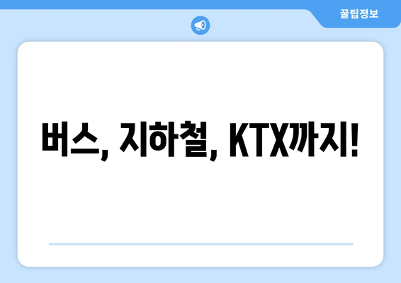 버스, 지하철, KTX까지!