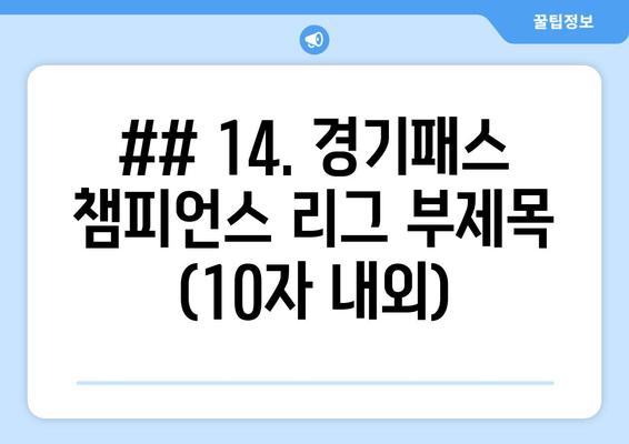 ## 14. 경기패스 챔피언스 리그 부제목 (10자 내외)