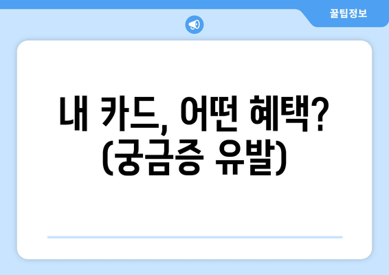 내 카드, 어떤 혜택? (궁금증 유발)