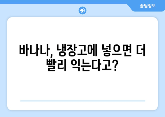 바나나 신선하게 보관하는 꿀팁 | 오래도록 맛있게 즐기는 4가지 방법