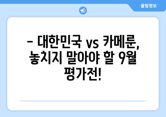 대한민국 vs 카메룬, 9월 평가전 생중계 | 축구 국가대표팀 경기 실시간 시청 팁