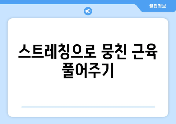 라운드 숄더 자세 교정, 중요한 포인트 3가지 | 라운드숄더, 거북목, 자세교정, 운동, 스트레칭