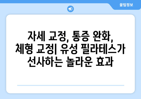 유성 필라테스, 요가, 골프 필라테스로 완벽한 자세 교정 & 건강 증진 | 자세 개선, 통증 완화, 체형 교정, 유성 필라테스 추천