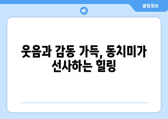 웃음과 감동 가득, 동치미가 선사하는 힐링