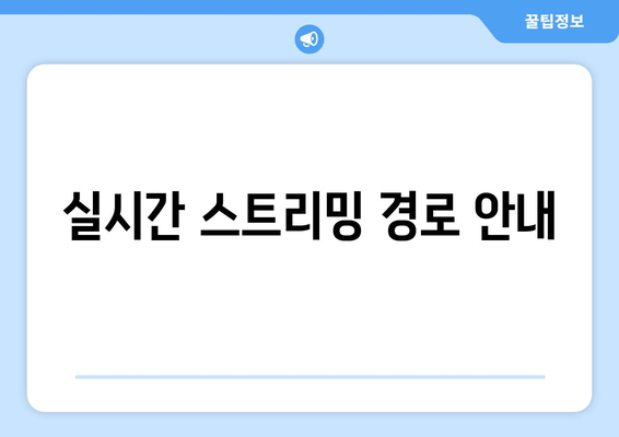 실시간 스트리밍 경로 안내