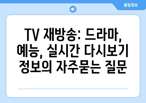 TV 재방송: 드라마, 예능, 실시간 다시보기 정보