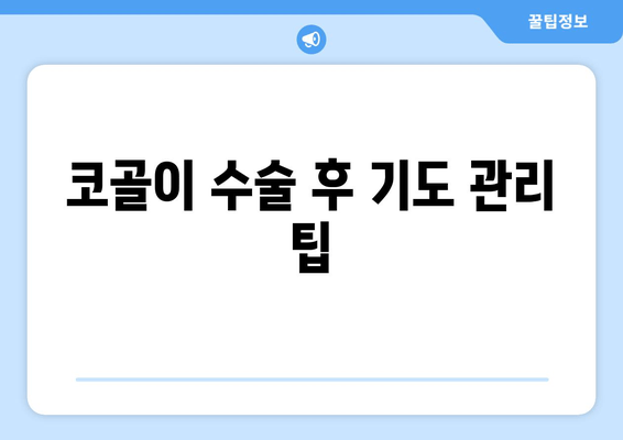 코골이 수술 후 기도 관리 팁