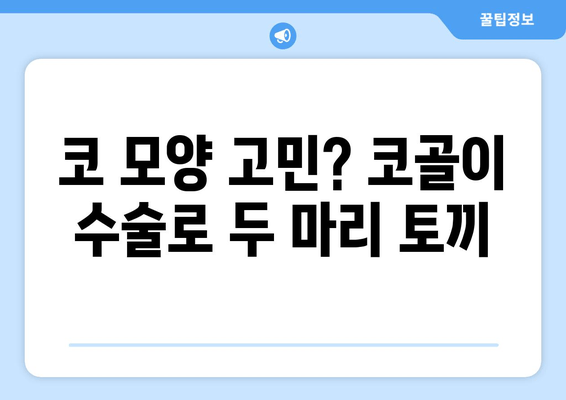 코 모양 고민? 코골이 수술로 두 마리 토끼
