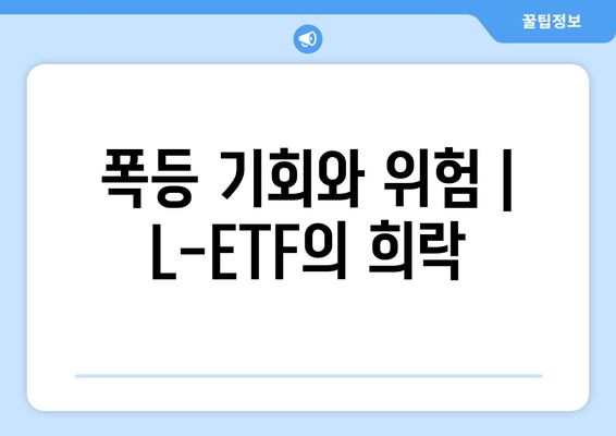 폭등 기회와 위험 | L-ETF의 희락