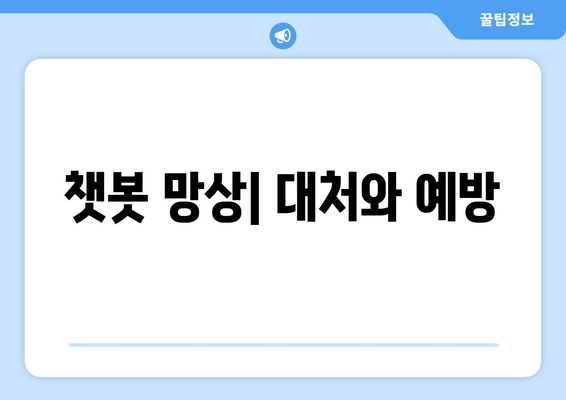 챗봇 망상| 대처와 예방