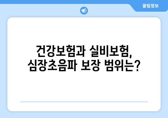 심장초음파, 실비보험 적용 가능한 경우는? | 건강보험, 보장 범위, 주의 사항