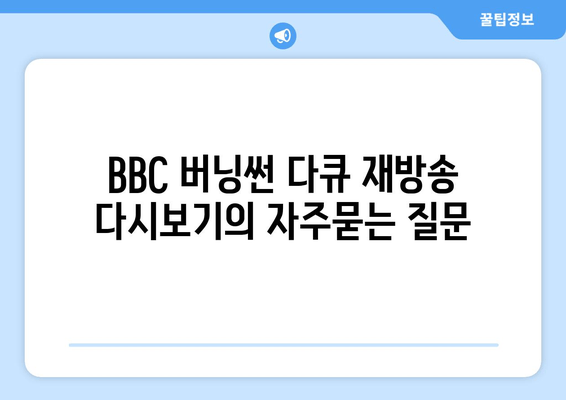 BBC 버닝썬 다큐 재방송 다시보기