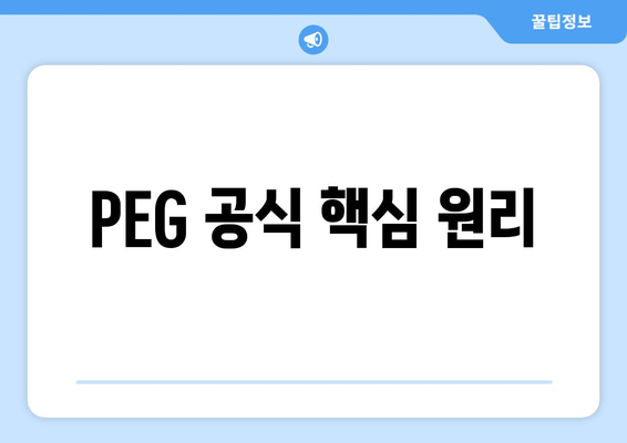 PEG 공식 핵심 원리