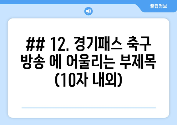 ## 12. 경기패스 축구 방송 에 어울리는 부제목 (10자 내외)