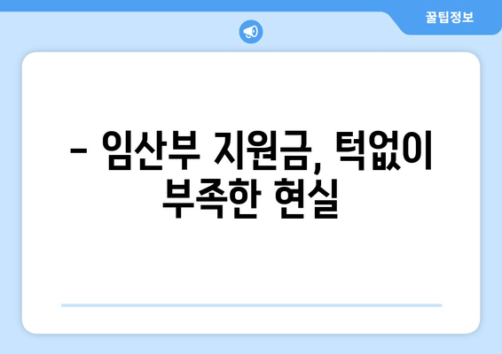 임산부 지원금 대체 인력 비용, 어떻게 해결할까요? | 임신, 출산, 육아, 비용 절감, 지원금