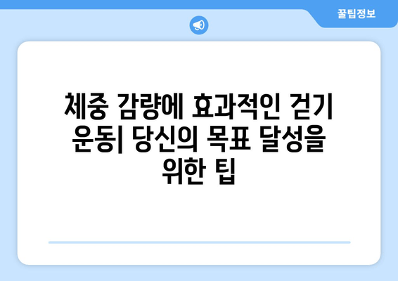 걷기 종류별 근육 발달 효과 비교| 당신에게 맞는 걷기는? | 걷기 운동, 근육 강화, 체중 감량, 건강 팁