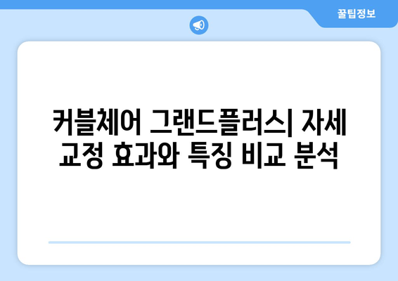 커블체어 그랜드플러스, 자세 교정 효과와 특징 비교 분석 |  장점, 단점, 사용 후기