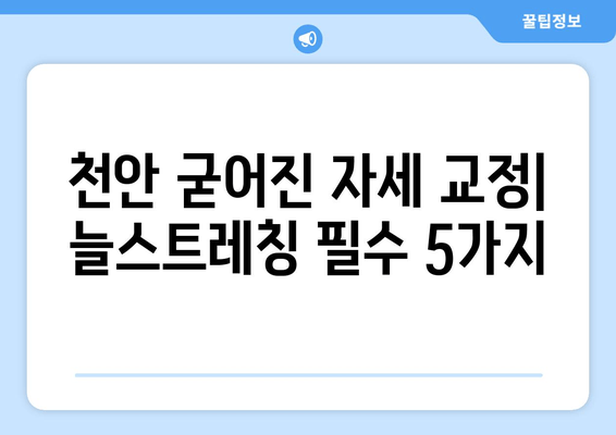 천안 굳어진 자세 교정| 늘스트레칭 필수 스트레칭 5가지 | 자세 개선, 통증 완화, 척추 건강