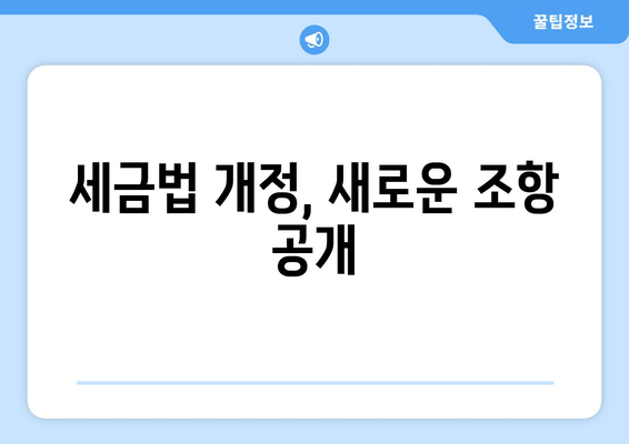 세금법 개정, 새로운 조항 공개