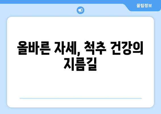 허리 디스크 수술 후, 건강한 척추를 위한 필독 안내| 자세 교정 가이드 | 허리 통증, 재활, 운동, 자세 습관