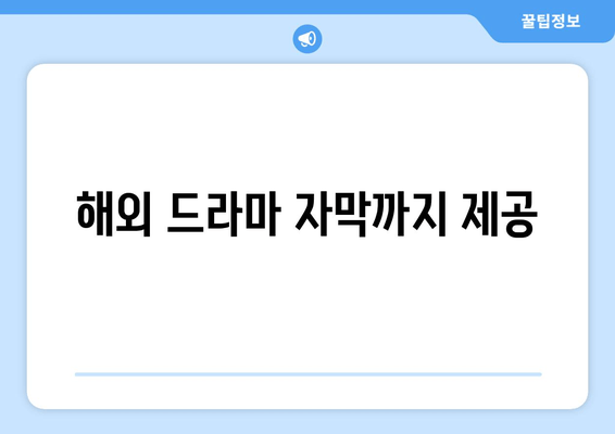 해외 드라마 자막까지 제공