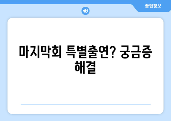 마지막회 특별출연? 궁금증 해결