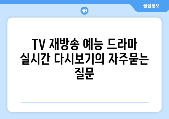 TV 재방송 예능 드라마 실시간 다시보기