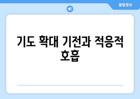 기도 확대 기전과 적응적 호흡