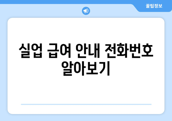 실업 급여 안내 전화번호 알아보기