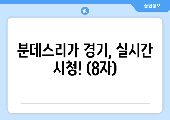 분데스리가 경기, 실시간 시청! (8자)