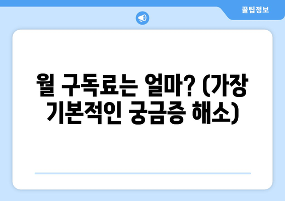 월 구독료는 얼마? (가장 기본적인 궁금증 해소)