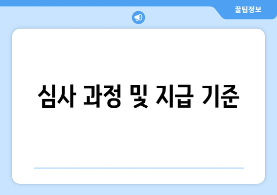 심사 과정 및 지급 기준