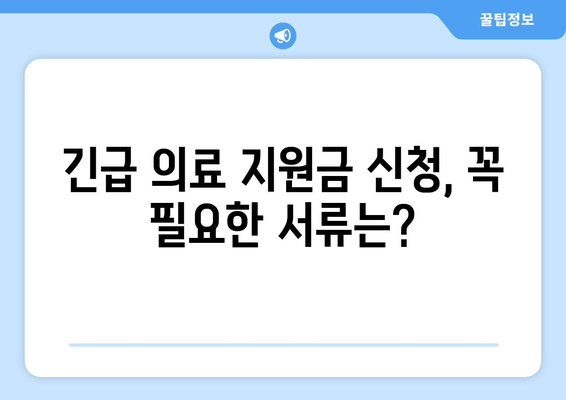 긴급 의료 지원금 신청 완벽 가이드| 자격 조건부터 절차까지 |  지원 대상, 필요 서류, 주의 사항