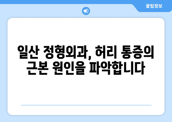 일산 허리통증, 자세 교정과 재활로 다시 건강하게! | 허리 통증 치료, 재활 운동, 일산 정형외과