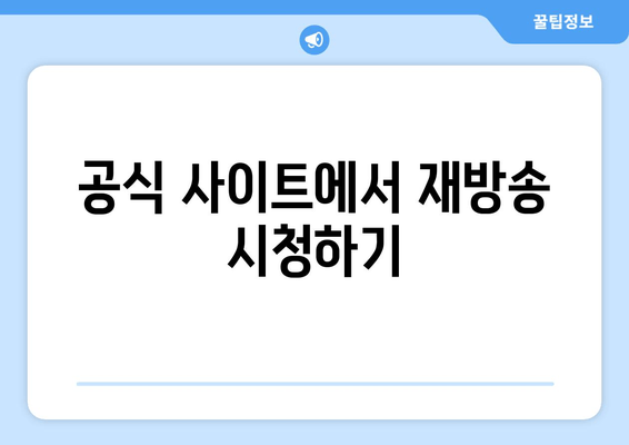 공식 사이트에서 재방송 시청하기