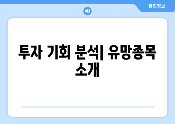 투자 기회 분석| 유망종목 소개