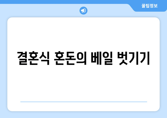 결혼식 혼돈의 베일 벗기기