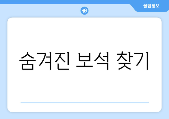 숨겨진 보석 찾기